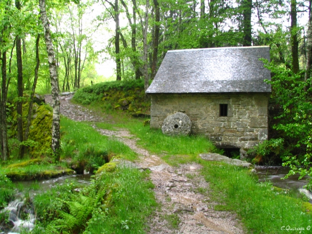 Aventura todoterreno 